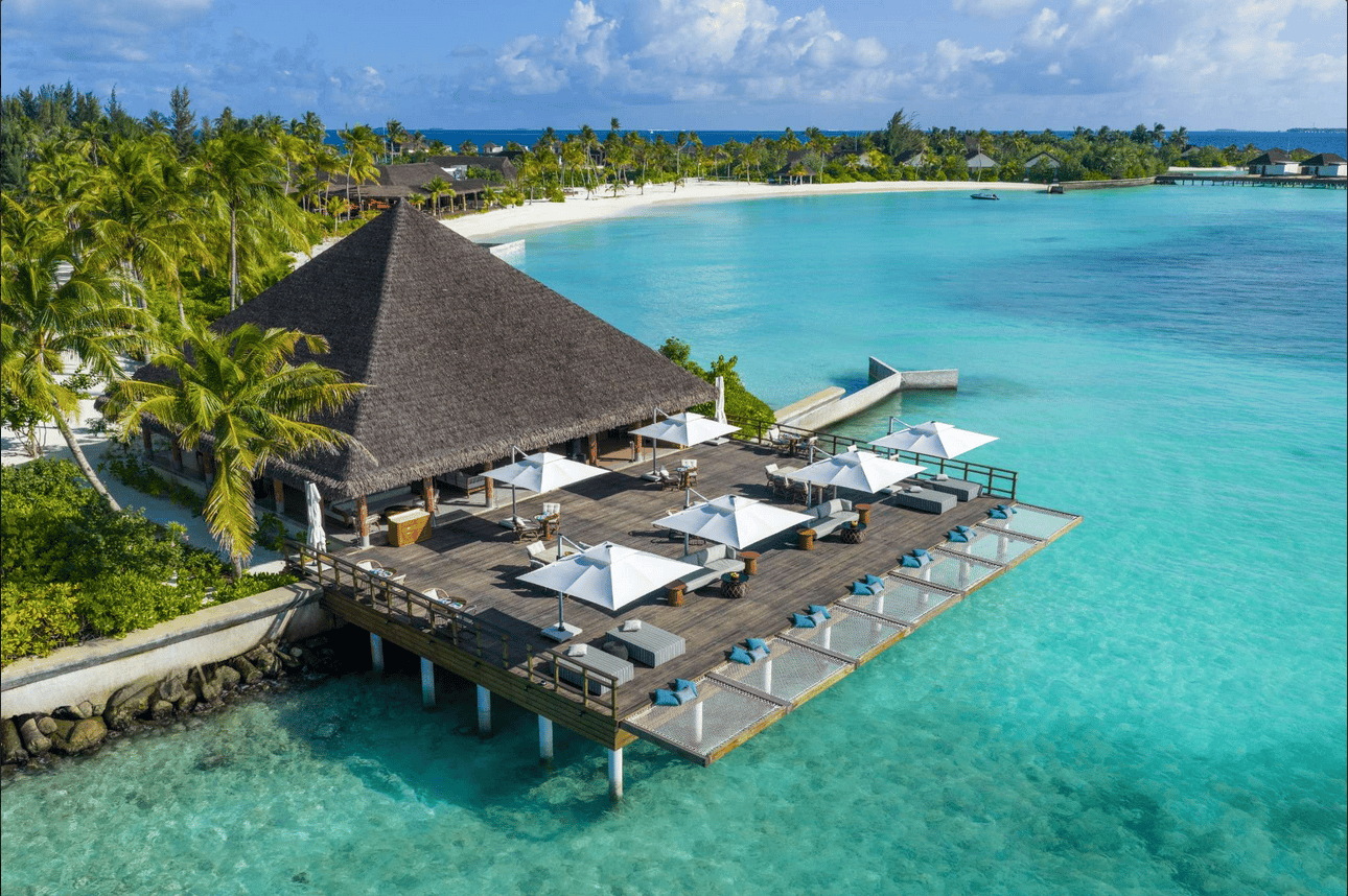 Cocoon · Day-to-night café & bar · 10am to 1am